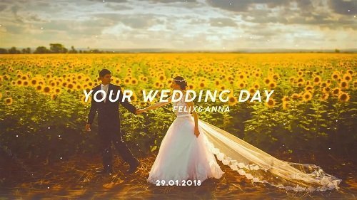 Wedding Day 57606 - After Effects Templates