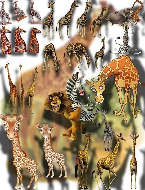 Фотошоп Png клип-арты - Веселые жирафы