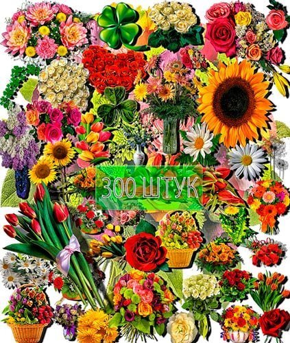Фотошоп Png клип-арты - Разнообразные цветы