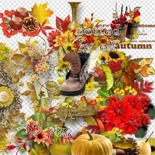  Осенние элементы и кластеры без фона – Разноцветная осень