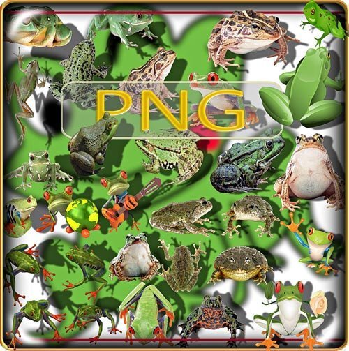 Png Клипарты - Лягушки и жабы