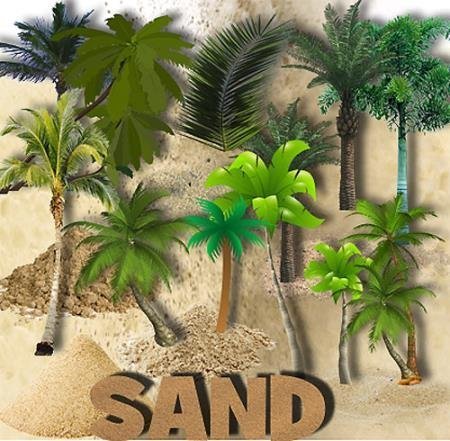 Прозрачные png - Пальмы и песок
