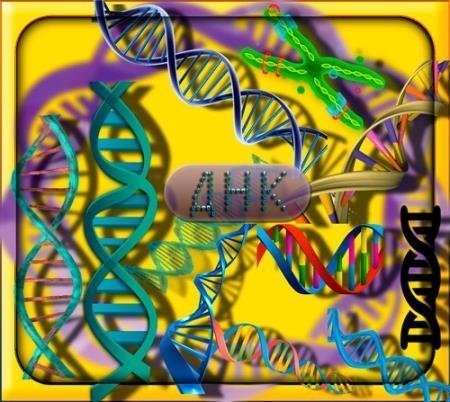 Прозрачные клипарты для фотошопа - Природное ДНК