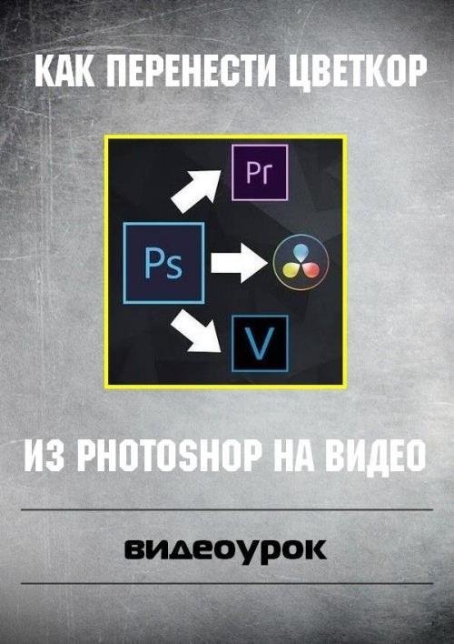 Как перенести цветкор из Photoshop на видео (2019)