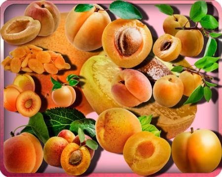 Растровые клипарты - Сочный абрикос