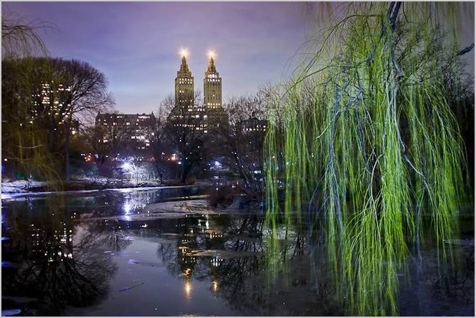 Центральный парк в Нью-Йорке. Фотограф Dave Beckerman