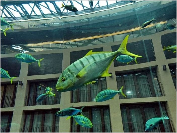 Аквариум Aquadom в отеле Radisson Blu