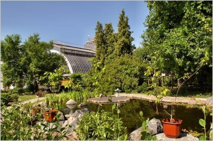 Ботанический сад в Санкт-Петербурге (29 фото)