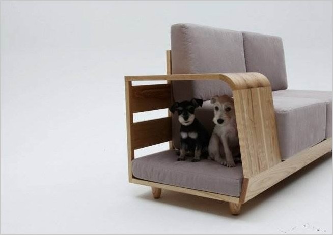 Дизайнерские вещи для кошек и собак