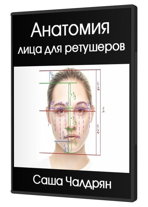 Анатомия лица для ретушеров (2018)
