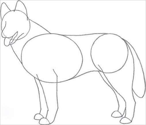 Как рисовать собаку (поэтапно карандашом)