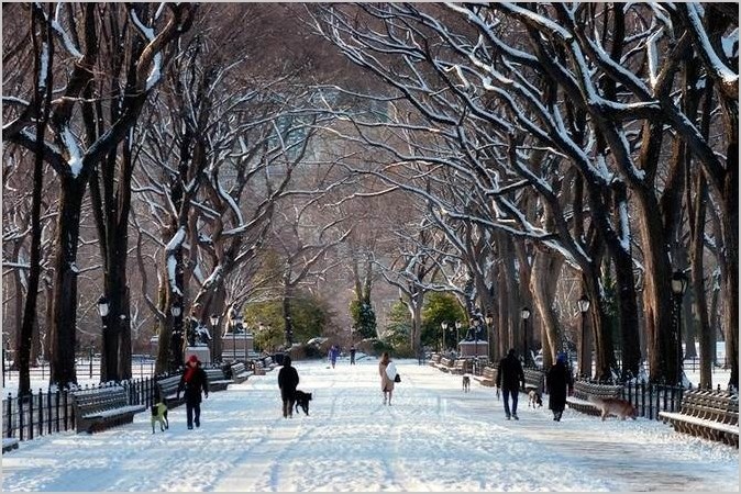 Центральный парк в Нью-Йорке. Фотограф Dave Beckerman