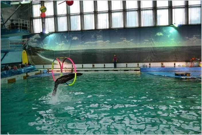 Дельфинарий в СПб (фото, видео)