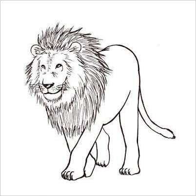 Как рисовать льва