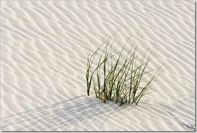 Белые пески. Нью-Мексико