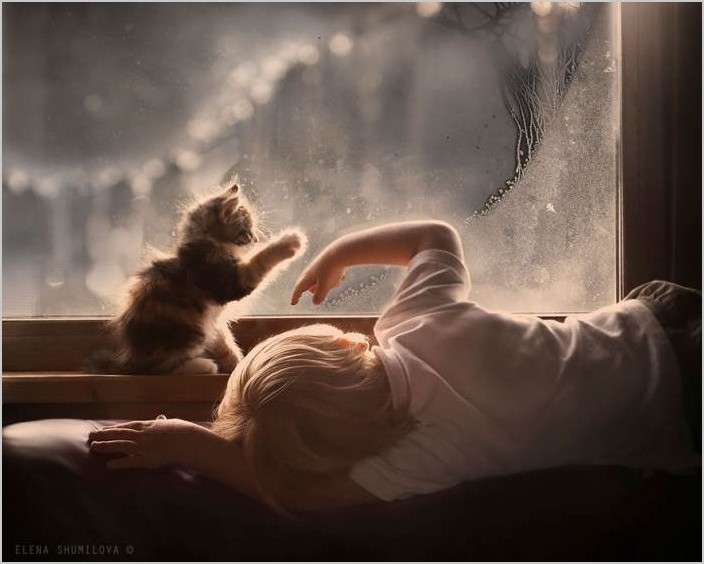 Фотограф Елена Шумилова — Дети и домашние животные