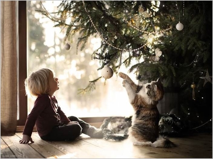 Фотограф Елена Шумилова — Дети и домашние животные