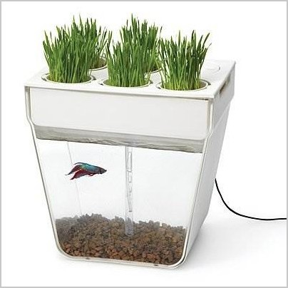 Аква-ферма (аквариум + цветочный горшок) уникальная система