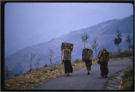 Сикким (Гималаи) 1960-е фото