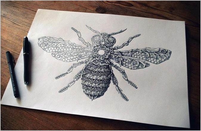 Alex Konahin рисунки насекомых