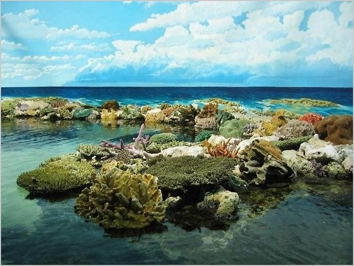 Большой Барьерный Риф фото