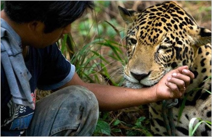 Центр спасения диких животных в Боливии фото