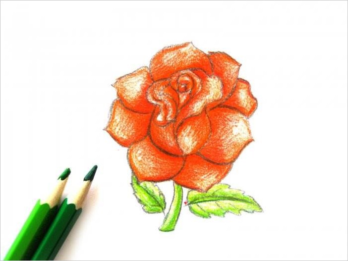 Как рисовать розу карандашом поэтапно