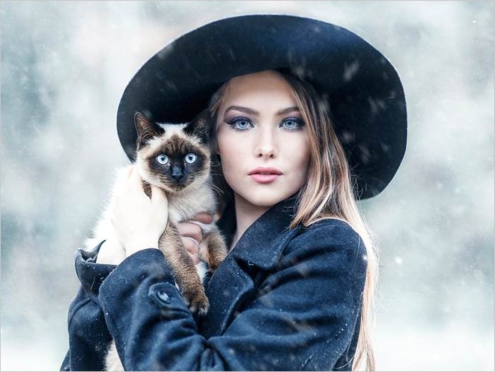 Красивые девушки с кошками фото