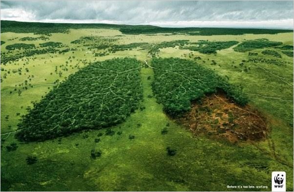 Постеры WWF — Всемирный фонд дикой природы