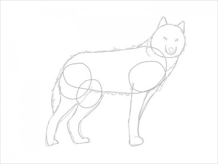 Как рисовать волка поэтапно карандашом