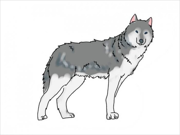 Как рисовать волка поэтапно карандашом