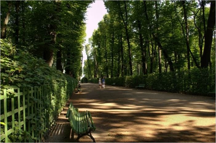 Летний сад в Петербурге (29 фото)