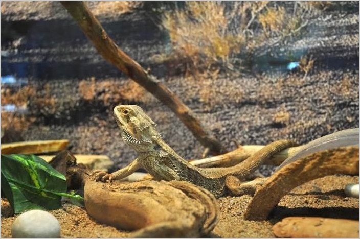 «Croco Park» — увлекательная выставка рептилий из разных стран мира!