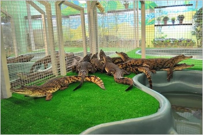 «Croco Park» — увлекательная выставка рептилий из разных стран мира!