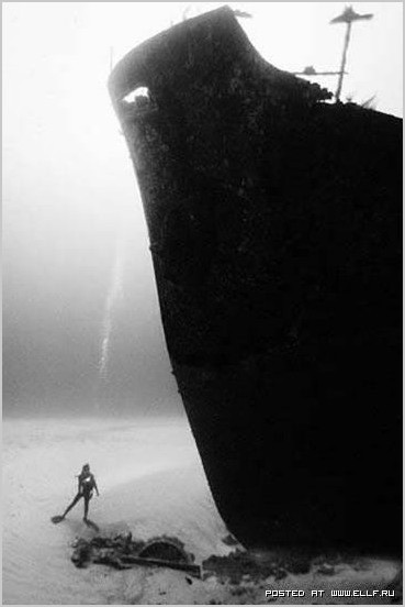 Дэвид Дубиле подводное фото