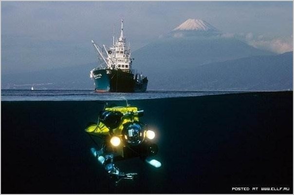 Дэвид Дубиле подводное фото