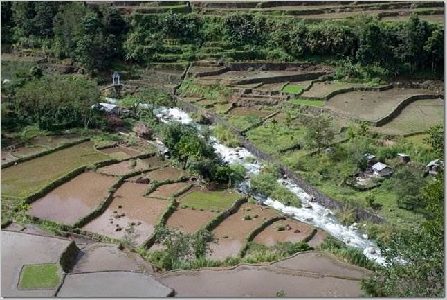 Рисовые террасы в Банауэ