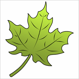 Как рисовать листья