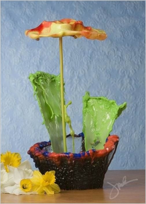 Джек Лонг показал миру цветы из всплесков окрашенной воды