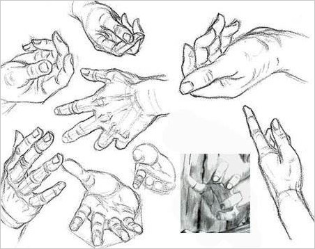 Как рисовать руки. Уроки рисования онлайн