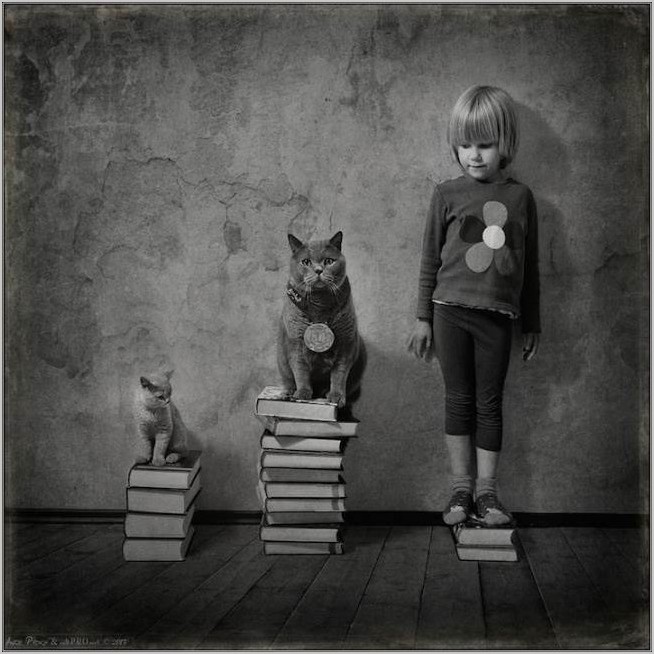 Фотограф Андрей Прохоров — «Маленькая девочка и кот Том»
