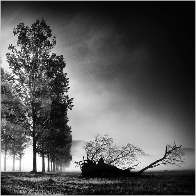 Чёрно-белый реализм фотографа Cornel Pufan