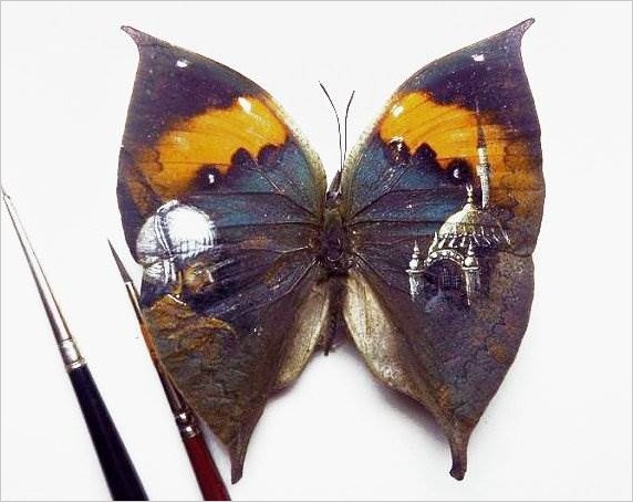 Рисунки на крыльях бабочки Hasan Kale