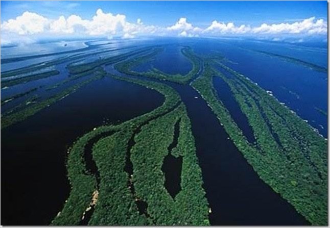 Река Амазонка фото