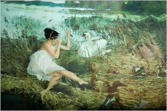 Финский фотограф Susanna Majuri. Танцы под водой