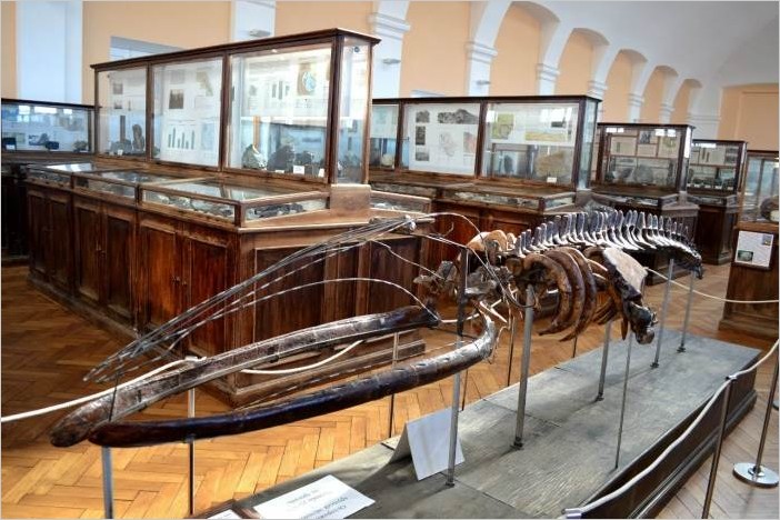 Геологический музей СПб (скелеты динозавров, археология, минералы) фото