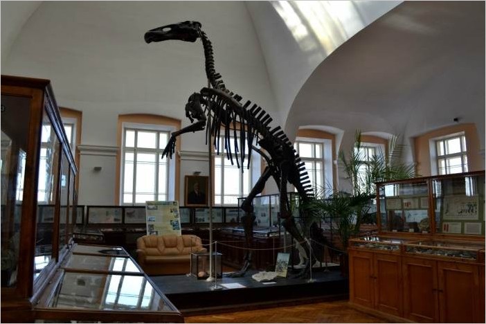 Геологический музей СПб (скелеты динозавров, археология, минералы) фото