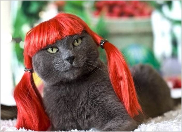 Джулия Джексон — Glamourpuss: The Enchanting World of Kitty Wigs