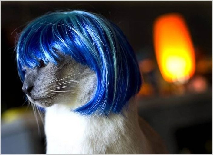 Джулия Джексон — Glamourpuss: The Enchanting World of Kitty Wigs