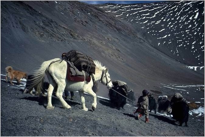 Eric Valli — Караваны в Гималаях